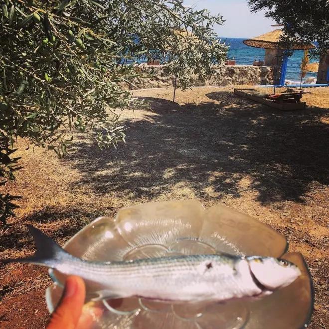 Mavi Assos Bungalov