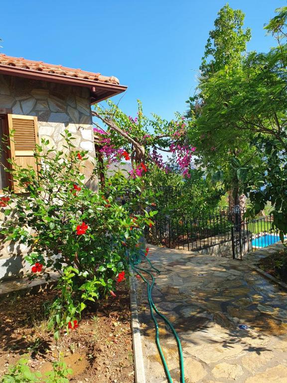 Kapri Tatil Evleri