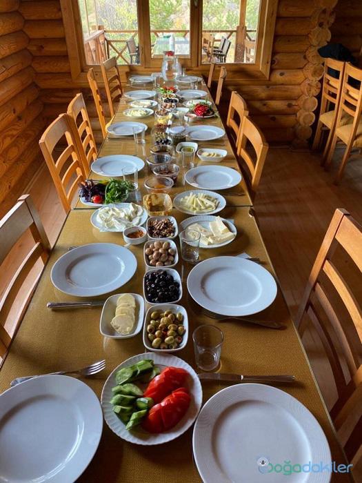 Oba Kütük Evleri