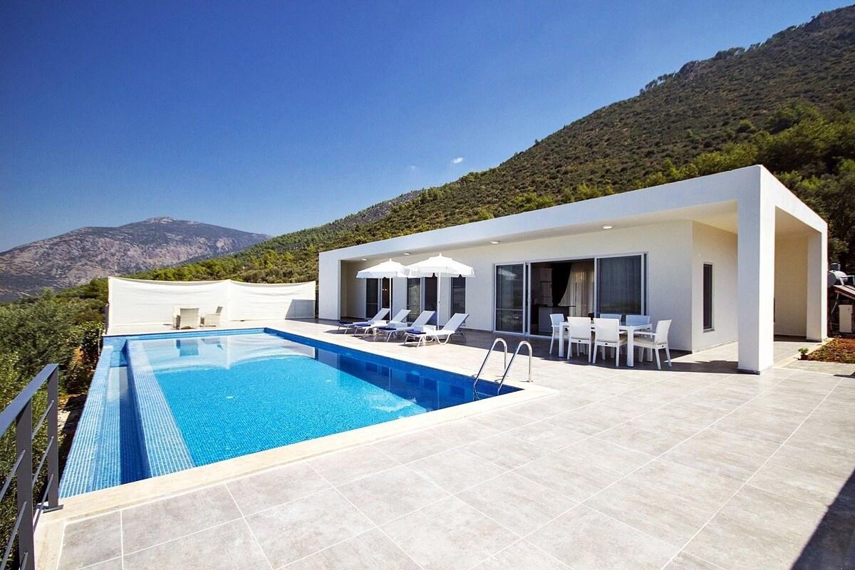Villa Nare