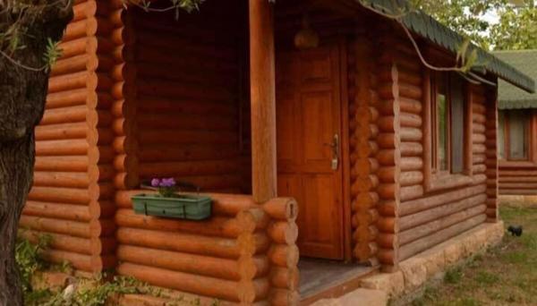 Carpe Diem Bungalow