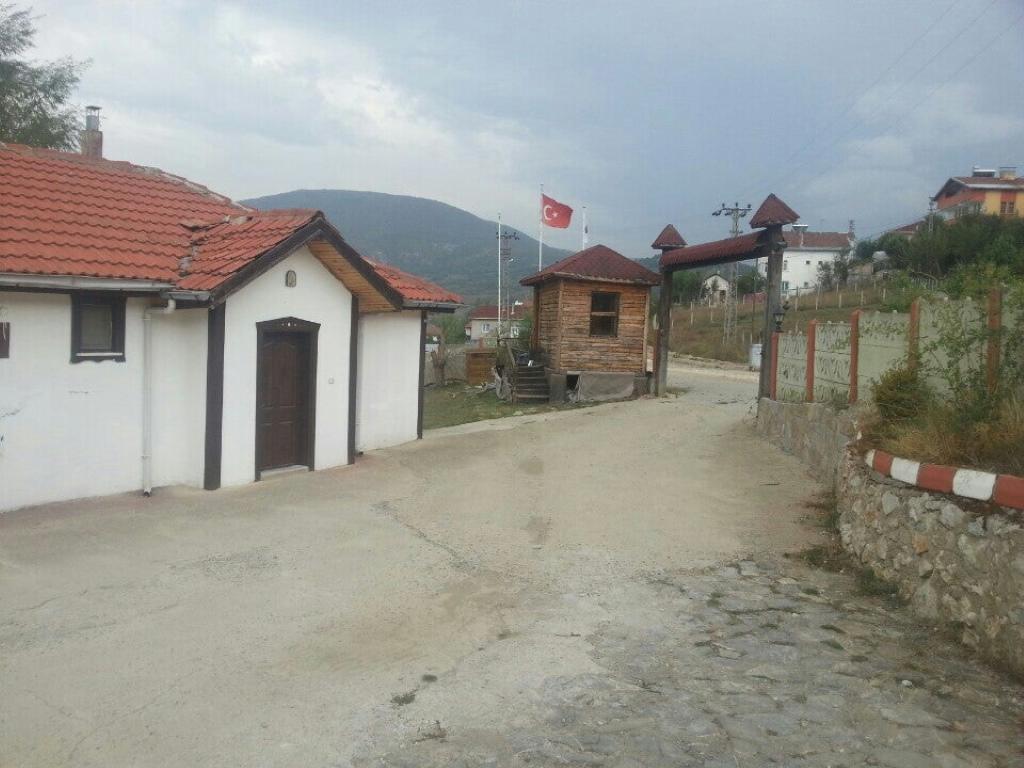 Pinar Oba
