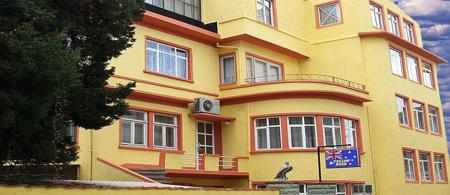 Yellow Rose Pension