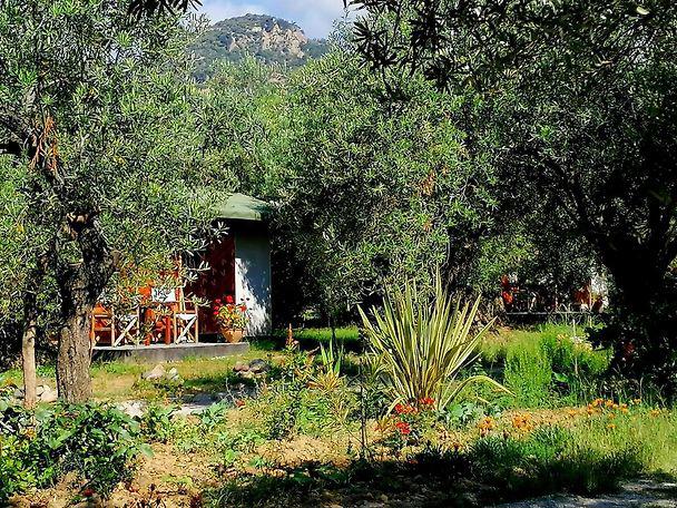 Hotel Oiki Beach Camp