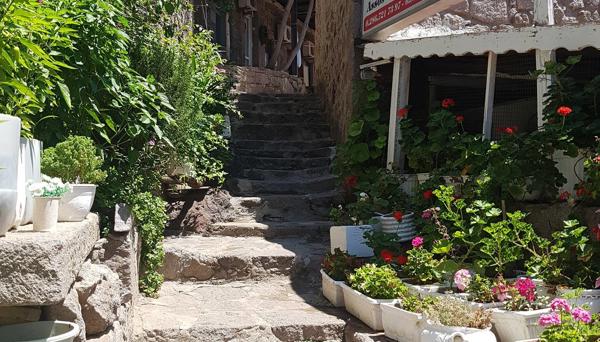 Assos Dr No Pansiyon