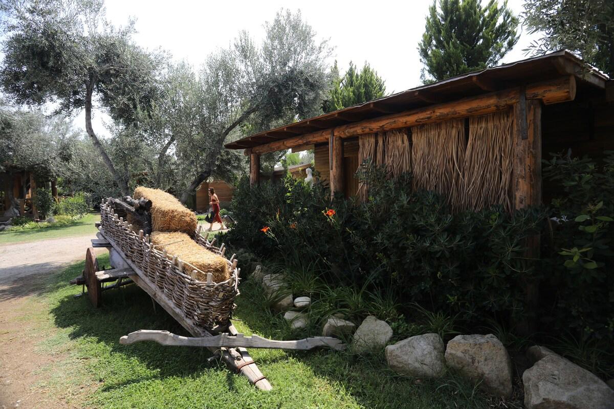 Assos Antique Hotel