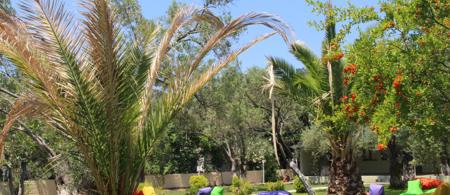 Kayalar Blue Boutique Hotel