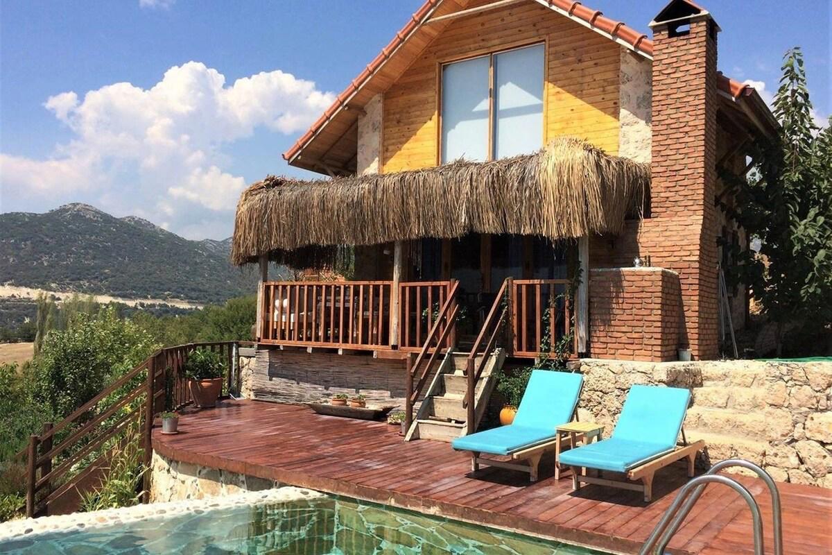 Villa Ceviz