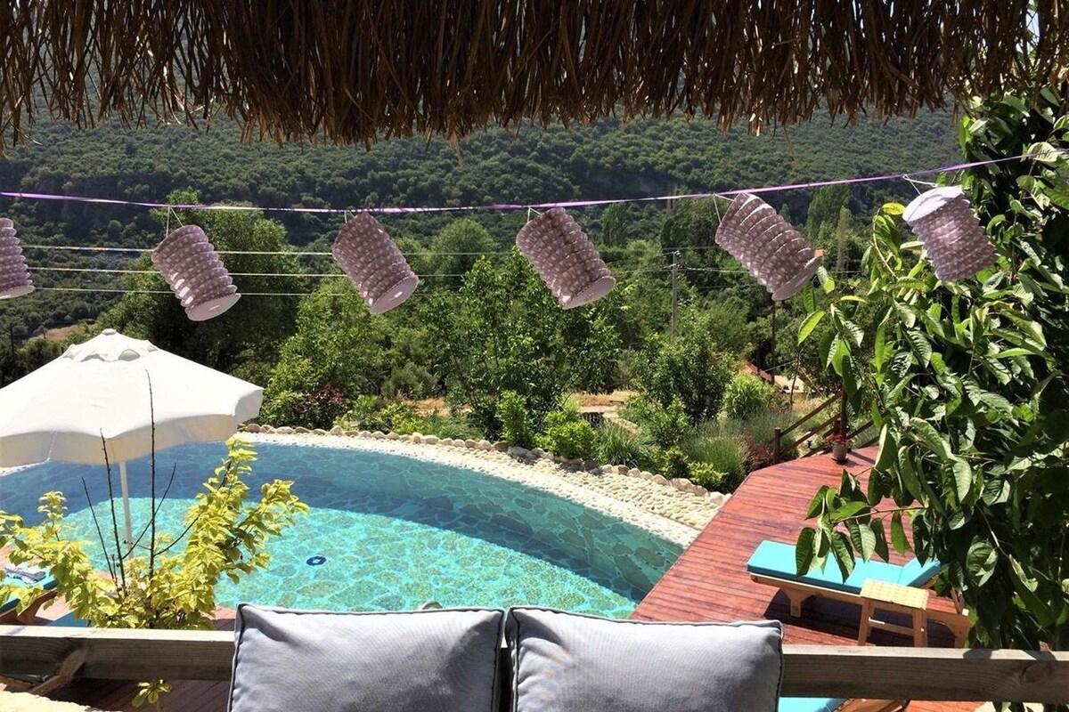 Villa Ceviz