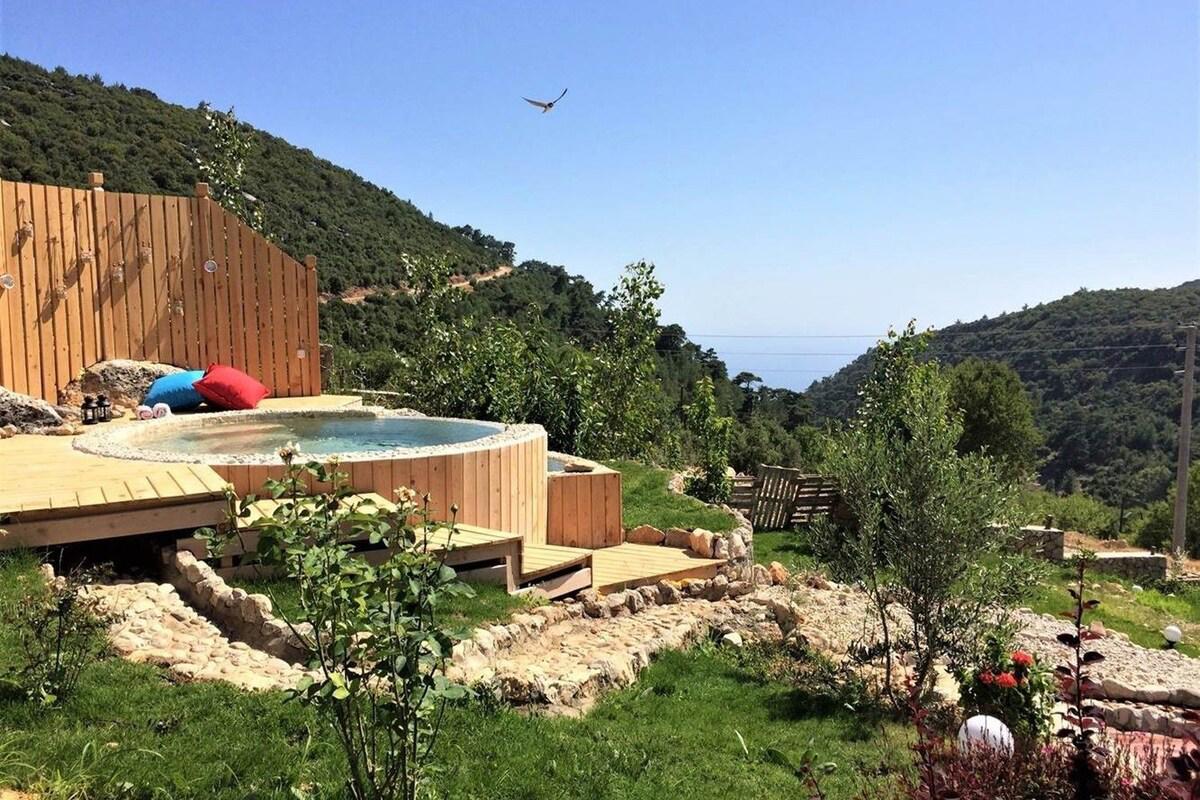 Villa Ceviz