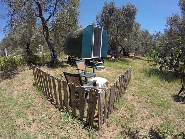 Özgür Beach Camp