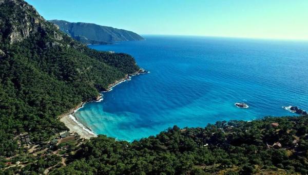 Hotel Olive Garden Kabak