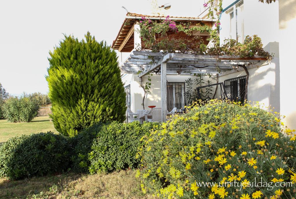 Villa Banu