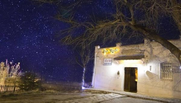 Bir Kedi Villa