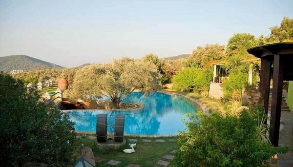 Antik Zeytin Hotel & Art