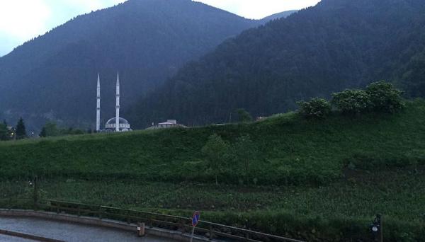 Uzungol Cicek Apart