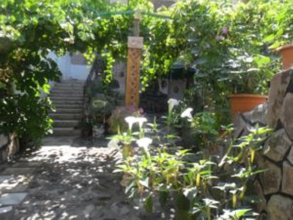 Halil's Pension