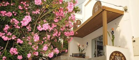 7 Art Fesleğen Hotel By Egeos