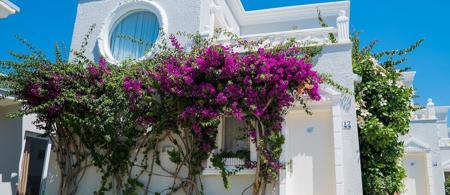 Art Suites Hotel