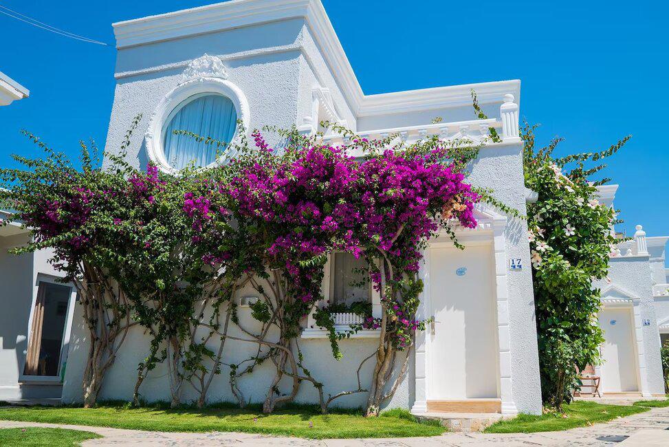 Art Suites Hotel
