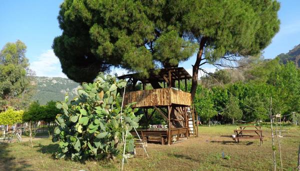 Billur Pension