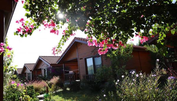 Leontopolis Apart Otel