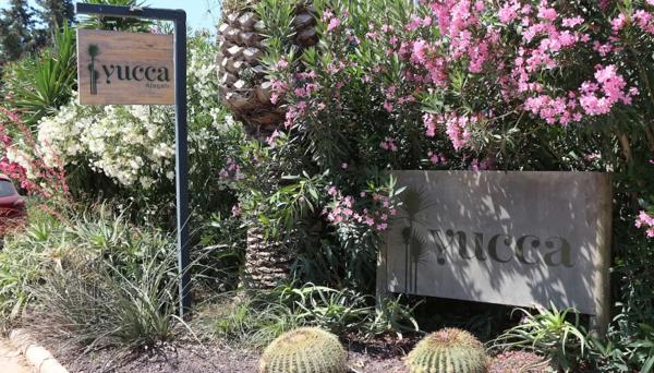 Yucca Alaçatı