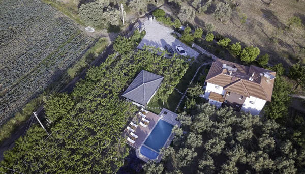 Grape Datça