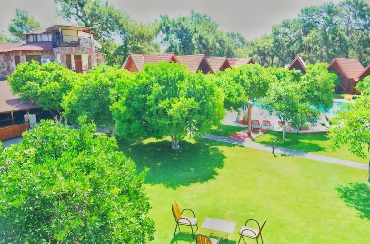 Woodline Hotel