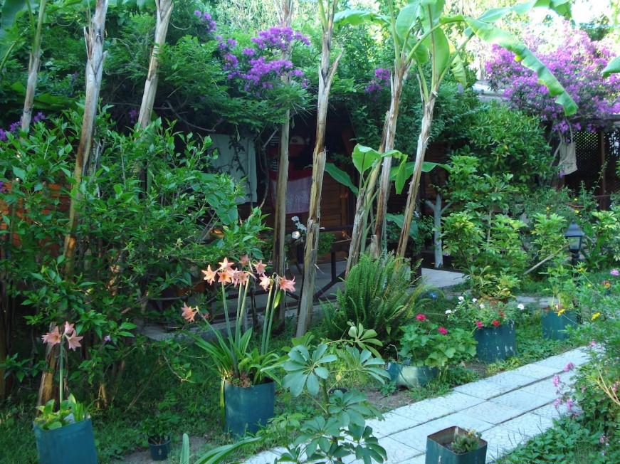 Myland Nature