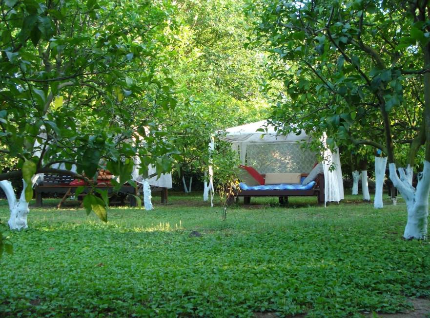 Myland Nature