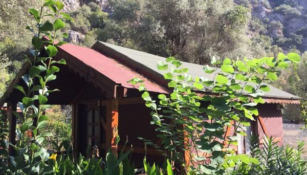 Canario Pension