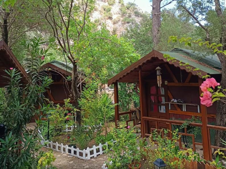 Canario Pension