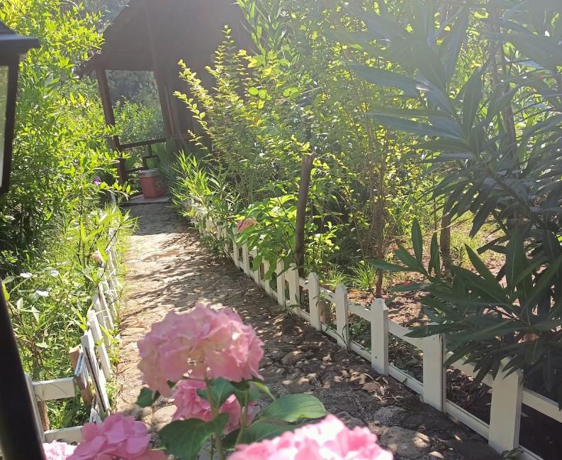 Canario Pension