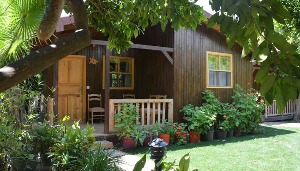 Caretta Caretta Pension