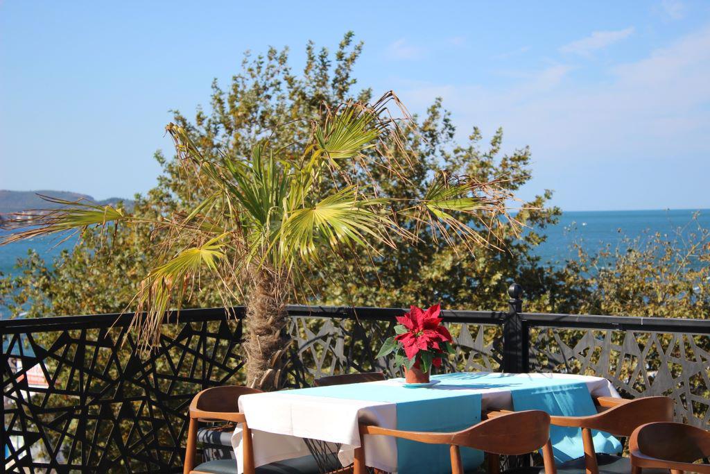 Lion Boutique Hotel