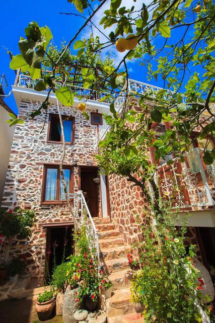 The Lemon Villa Hotel