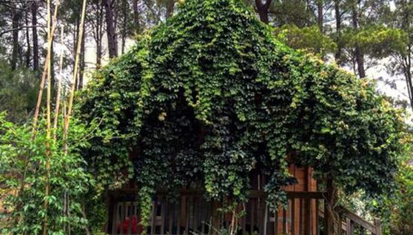 Olympos Village Reluxury Hotel