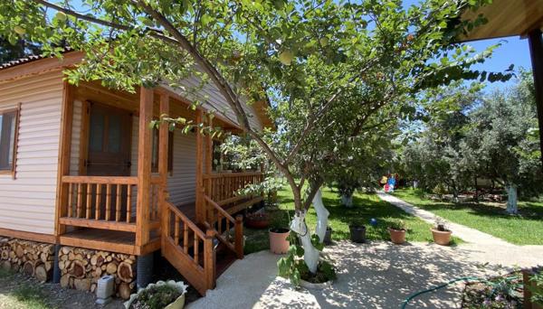 Olive Bungalov