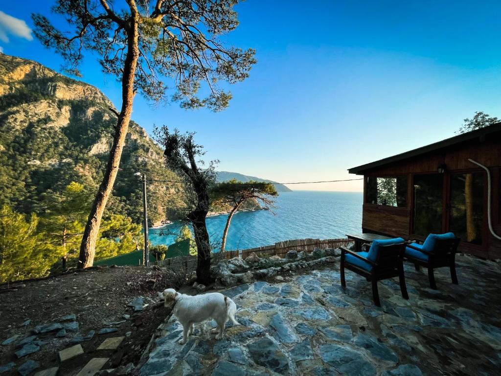 Kabak Utopya Otel
