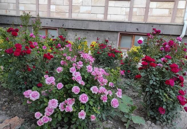 Yıldız Apart Otel