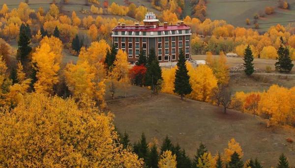 Black Forest Hotel