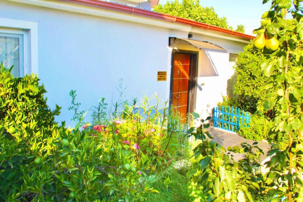Aloanda House