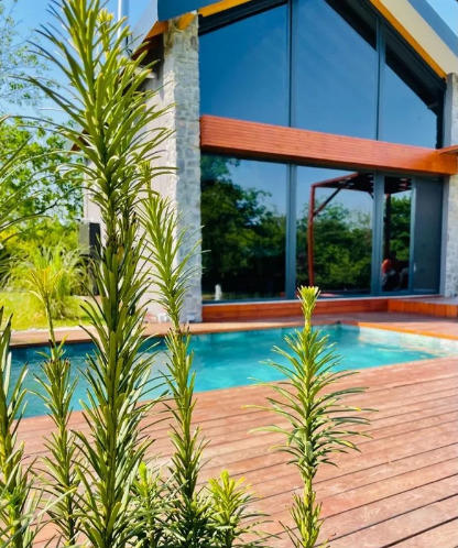 Monk Livingspace Sapanca