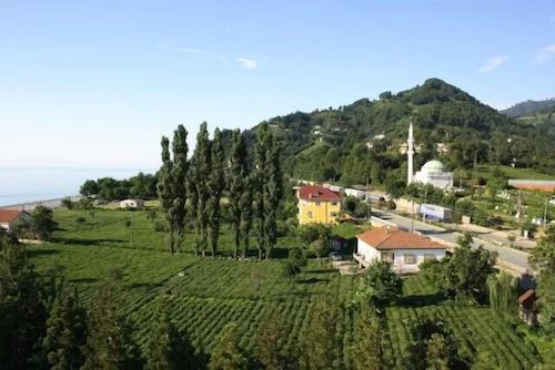Sarp Hotel