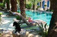 Flamingo Hotel & Spa