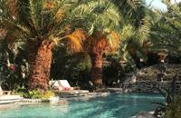 Flamingo Hotel & Spa