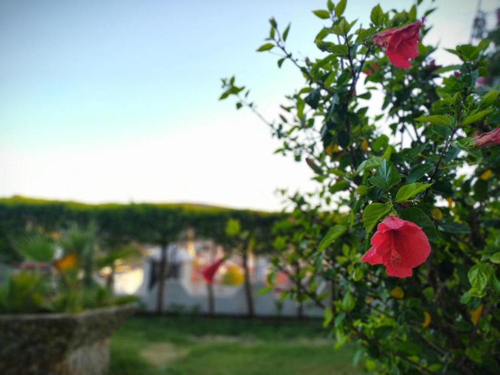 Yalçın Hotel Çeşme
