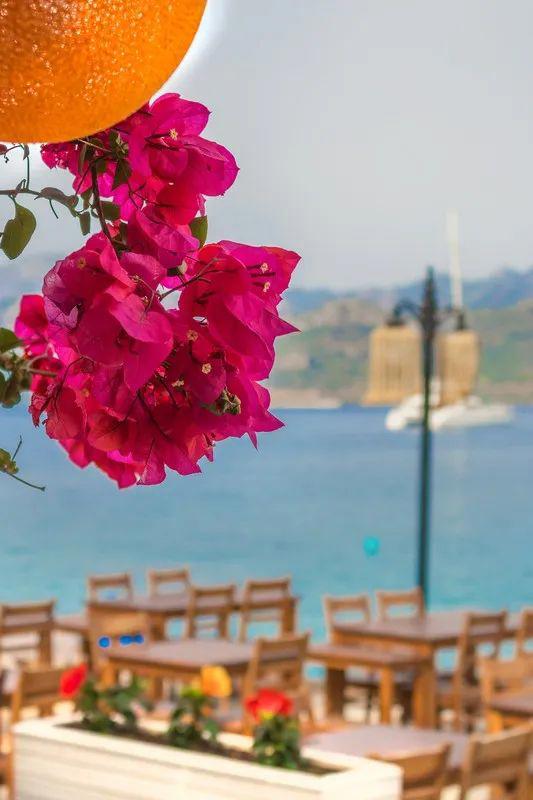 B,Yaz Hotel Selimiye (+14)