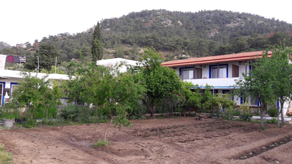 Mazi Ege Pansiyon